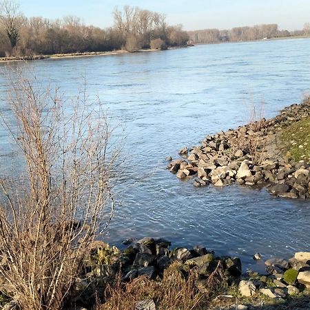 Ferienhaus Hoffmann Am Rheinbogen Altlussheim Zewnętrze zdjęcie