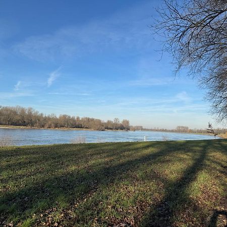 Ferienhaus Hoffmann Am Rheinbogen Altlussheim Zewnętrze zdjęcie