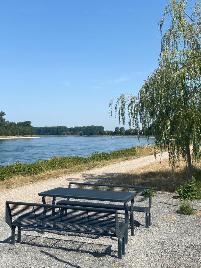 Ferienhaus Hoffmann Am Rheinbogen Altlussheim Zewnętrze zdjęcie