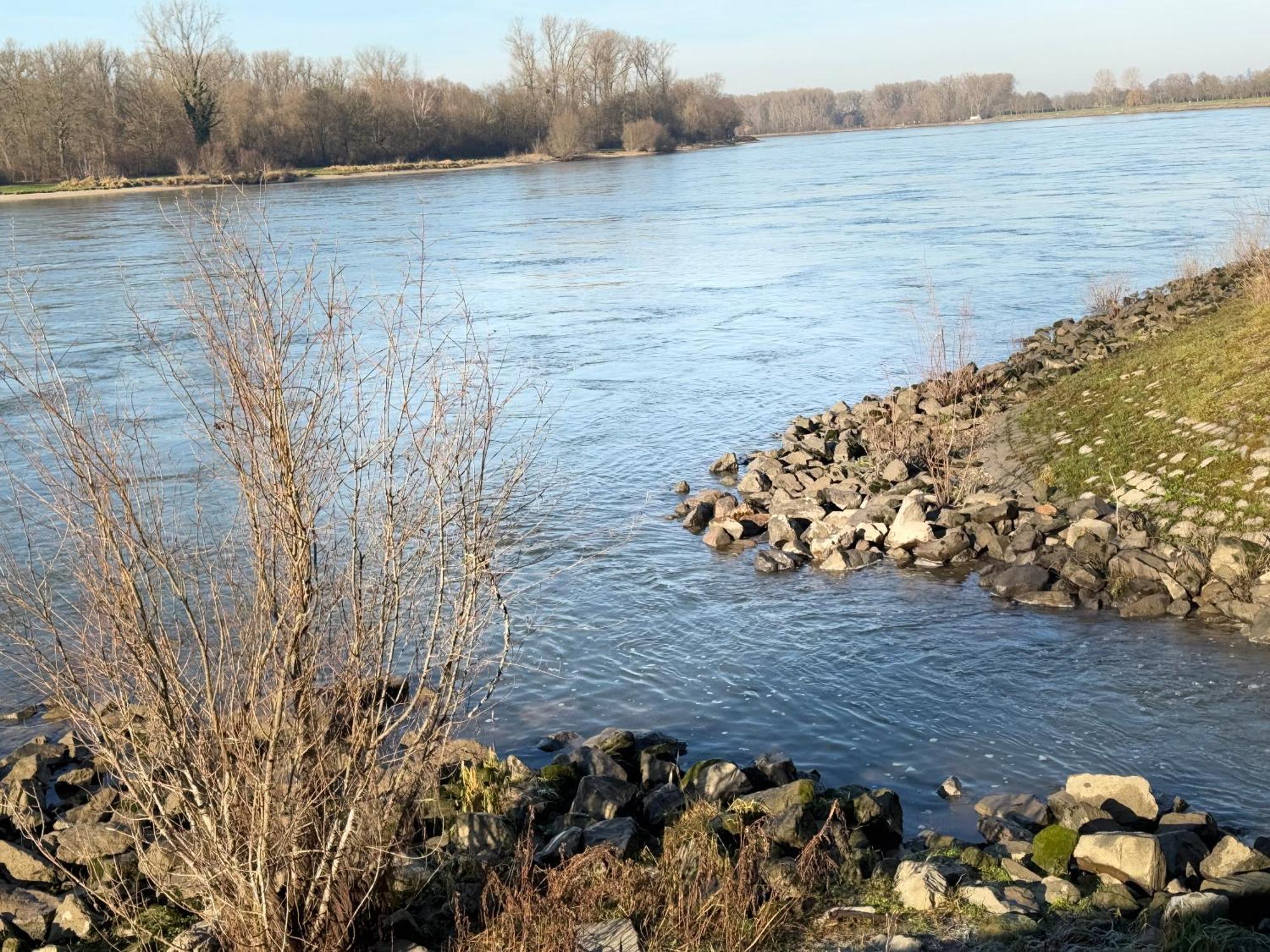 Ferienhaus Hoffmann Am Rheinbogen Altlussheim Zewnętrze zdjęcie