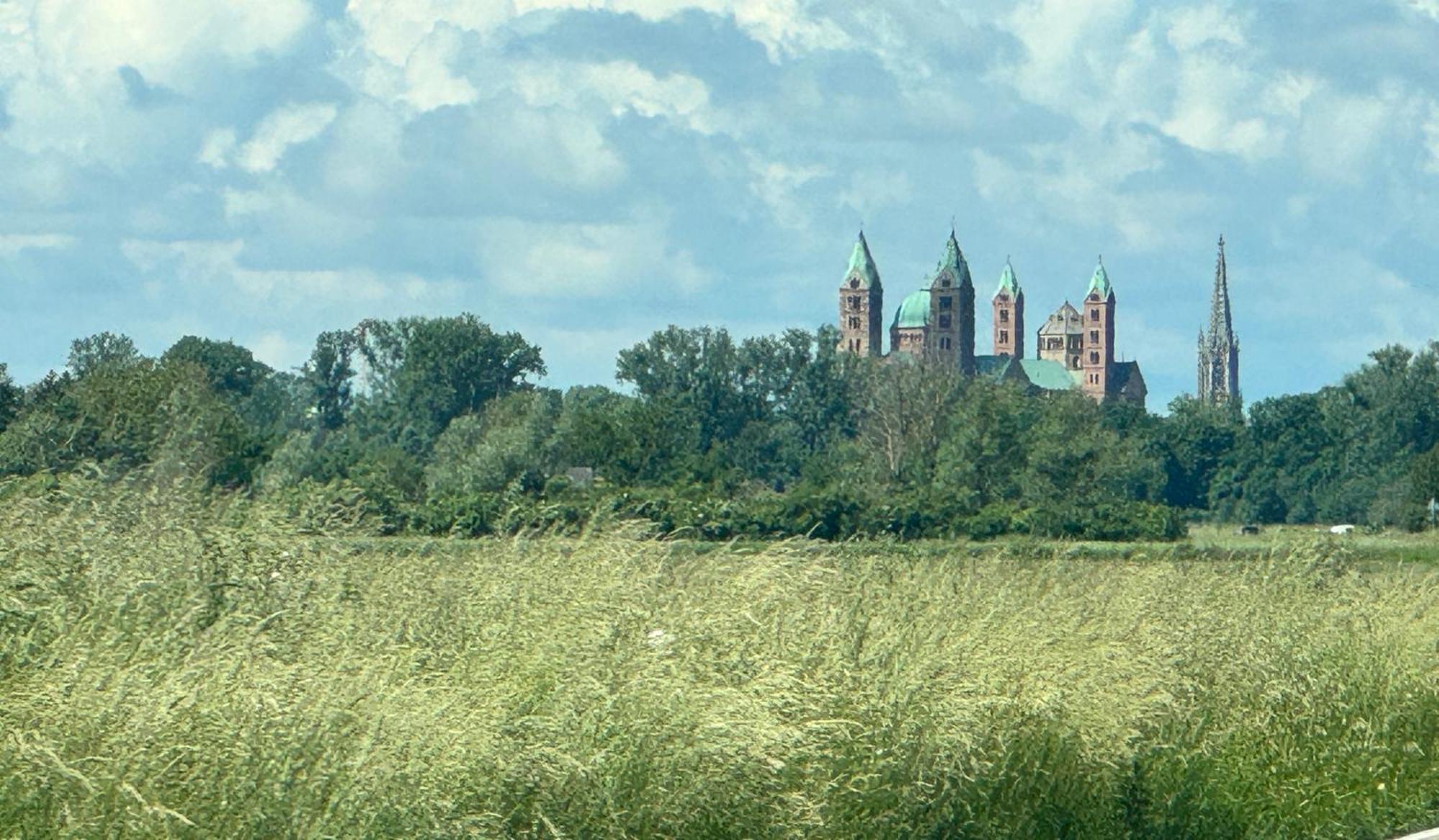 Ferienhaus Hoffmann Am Rheinbogen Altlussheim Zewnętrze zdjęcie